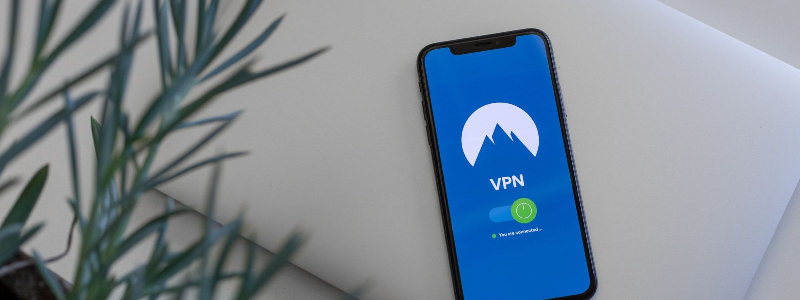 Claiming My Free OpenVPN clients